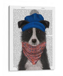 Border Collie En Blue Bobble Hat - Fab Funky | Cuadro decorativo de Canvas Lab