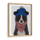 Border Collie En Blue Bobble Hat - Fab Funky | Cuadro decorativo de Canvas Lab
