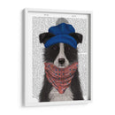 Border Collie En Blue Bobble Hat - Fab Funky | Cuadro decorativo de Canvas Lab