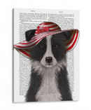 Border Collie En Sombrero De Disquete Rojo Y Blanco - Fab Funky | Cuadro decorativo de Canvas Lab