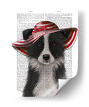 Border Collie En Sombrero De Disquete Rojo Y Blanco - Fab Funky | Cuadro decorativo de Canvas Lab
