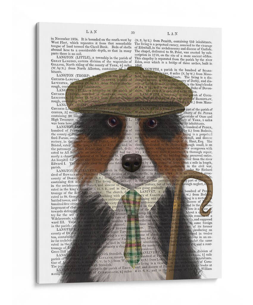 Border Collie Shepherd - Fab Funky | Cuadro decorativo de Canvas Lab
