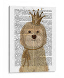 Princesa De Cockerpoo - Fab Funky | Cuadro decorativo de Canvas Lab