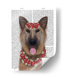 Pastor Alemán Edelweiss - Fab Funky | Cuadro decorativo de Canvas Lab