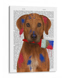 Pintor Rhodesian Ridgeback - Fab Funky | Cuadro decorativo de Canvas Lab