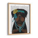 Rottweiler Flapper - Fab Funky | Cuadro decorativo de Canvas Lab
