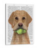 Labrador Amarillo Y Pelotas De Tenis. - Fab Funky | Cuadro decorativo de Canvas Lab