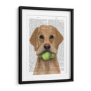 Labrador Amarillo Y Pelotas De Tenis. - Fab Funky | Cuadro decorativo de Canvas Lab