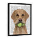 Labrador Amarillo Y Pelotas De Tenis. - Fab Funky | Cuadro decorativo de Canvas Lab