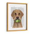 Labrador Amarillo Y Pelotas De Tenis. - Fab Funky | Cuadro decorativo de Canvas Lab