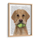 Labrador Amarillo Y Pelotas De Tenis. - Fab Funky | Cuadro decorativo de Canvas Lab