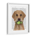 Labrador Amarillo Y Pelotas De Tenis. - Fab Funky | Cuadro decorativo de Canvas Lab