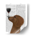 Perro Au Vin, Dachshund Oro - Fab Funky | Cuadro decorativo de Canvas Lab