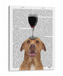 Perro Au Vin, Pit Bull - Fab Funky | Cuadro decorativo de Canvas Lab