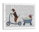 Scooter De Beagle - Fab Funky | Cuadro decorativo de Canvas Lab