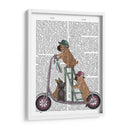 Scooter De Bulldog Francés - Fab Funky | Cuadro decorativo de Canvas Lab