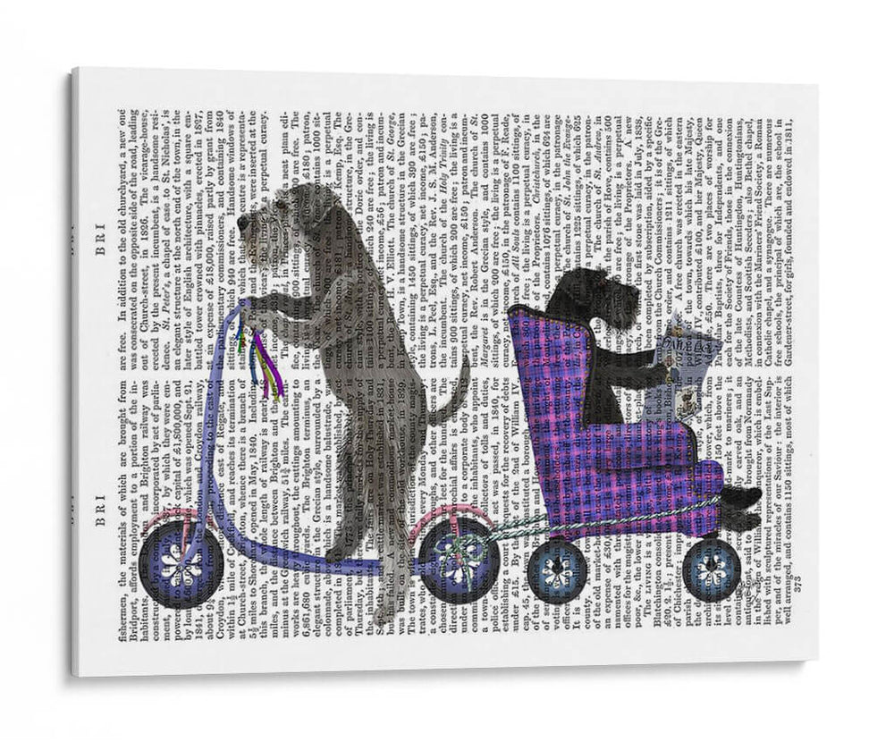 Scooter Schnauzer - Fab Funky | Cuadro decorativo de Canvas Lab