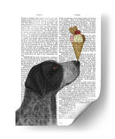 Helado De Puntero De Pelo Corto Alemán, Negro - Fab Funky | Cuadro decorativo de Canvas Lab