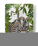 Familia De Lemur En Dosel - Fab Funky | Cuadro decorativo de Canvas Lab