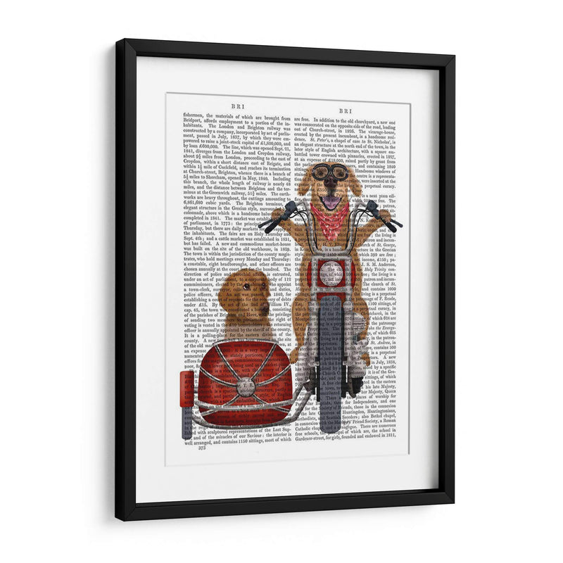 Chopper Golden Retriever Y Sidecar - Fab Funky | Cuadro decorativo de Canvas Lab