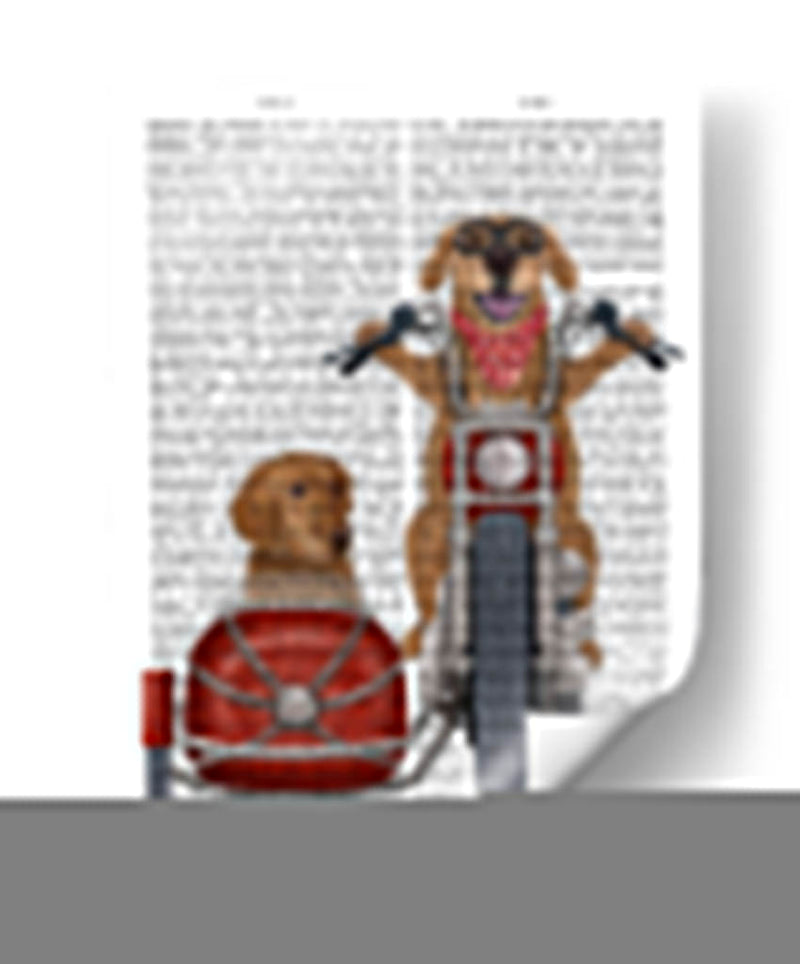 Chopper Golden Retriever Y Sidecar - Fab Funky | Cuadro decorativo de Canvas Lab