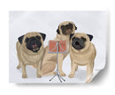 Coro De Pug - Fab Funky | Cuadro decorativo de Canvas Lab