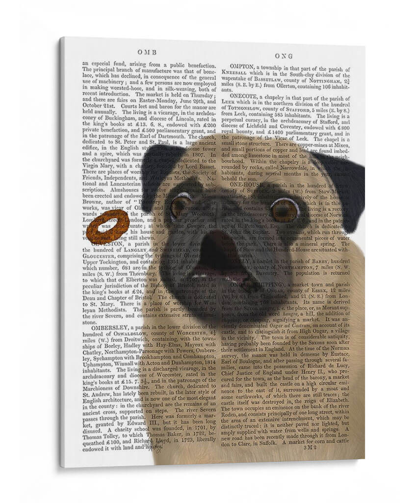 Pug, Catch 1 - Fab Funky | Cuadro decorativo de Canvas Lab