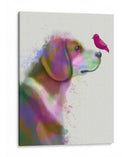 Beagle Rainbow Splash - Fab Funky | Cuadro decorativo de Canvas Lab