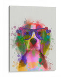 Beagle Rainbow Splash 2 - Fab Funky | Cuadro decorativo de Canvas Lab