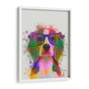 Beagle Rainbow Splash 2 - Fab Funky | Cuadro decorativo de Canvas Lab