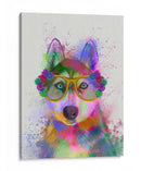 Splash Del Arco Iris Husky - Fab Funky | Cuadro decorativo de Canvas Lab