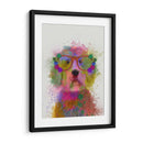 Labradoodle Splash Arco Iris - Fab Funky | Cuadro decorativo de Canvas Lab