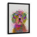 Labradoodle Splash Arco Iris - Fab Funky | Cuadro decorativo de Canvas Lab
