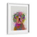 Labradoodle Splash Arco Iris - Fab Funky | Cuadro decorativo de Canvas Lab
