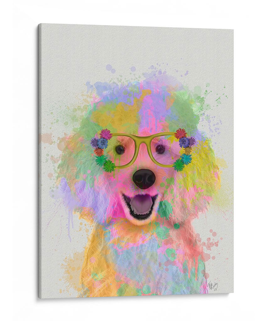 Poderle Splash Del Arco Iris - Fab Funky | Cuadro decorativo de Canvas Lab