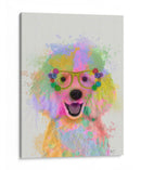Poderle Splash Del Arco Iris - Fab Funky | Cuadro decorativo de Canvas Lab