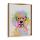 Poderle Splash Del Arco Iris - Fab Funky | Cuadro decorativo de Canvas Lab