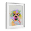 Poderle Splash Del Arco Iris - Fab Funky | Cuadro decorativo de Canvas Lab