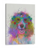 Salpicaduras De Arco Iris Springer Spaniel - Fab Funky | Cuadro decorativo de Canvas Lab