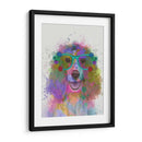 Salpicaduras De Arco Iris Springer Spaniel - Fab Funky | Cuadro decorativo de Canvas Lab