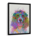 Salpicaduras De Arco Iris Springer Spaniel - Fab Funky | Cuadro decorativo de Canvas Lab