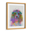 Salpicaduras De Arco Iris Springer Spaniel - Fab Funky | Cuadro decorativo de Canvas Lab
