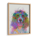 Salpicaduras De Arco Iris Springer Spaniel - Fab Funky | Cuadro decorativo de Canvas Lab