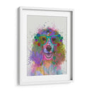 Salpicaduras De Arco Iris Springer Spaniel - Fab Funky | Cuadro decorativo de Canvas Lab