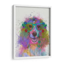 Salpicaduras De Arco Iris Springer Spaniel - Fab Funky | Cuadro decorativo de Canvas Lab