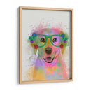 Splash Amarillo De Labrador Arco Iris - Fab Funky | Cuadro decorativo de Canvas Lab