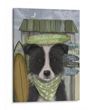 Border Collie, Blanco Y Negro, Shack Surf - Fab Funky | Cuadro decorativo de Canvas Lab