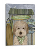 Labradoodle, Crema, Choza De Surf - Fab Funky | Cuadro decorativo de Canvas Lab