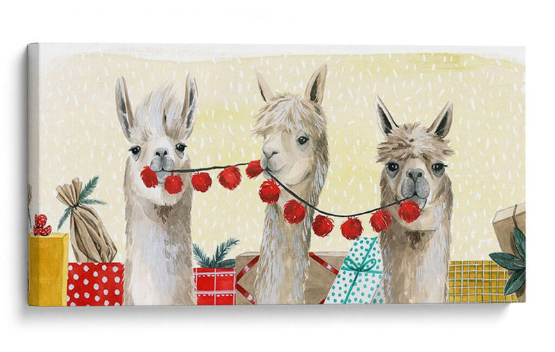 Colección De Navidad De Boho D - Grace Popp | Cuadro decorativo de Canvas Lab