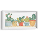 Senculent Suculent Collection D - June Erica Vess | Cuadro decorativo de Canvas Lab